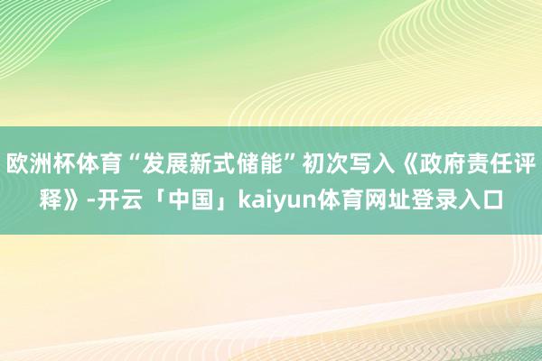 欧洲杯体育“发展新式储能”初次写入《政府责任评释》-开云「中国」kaiyun体育网址登录入口