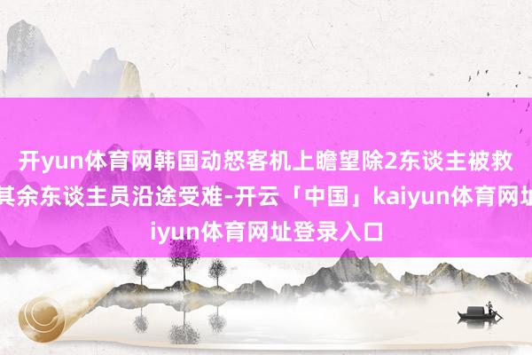 开yun体育网韩国动怒客机上瞻望除2东谈主被救出身还外其余东谈主员沿途受难-开云「中国」kaiyun体育网址登录入口