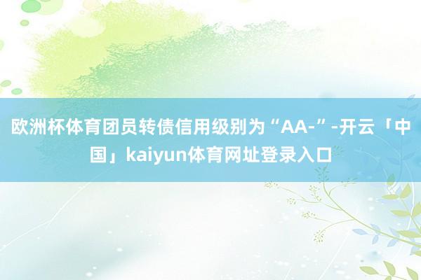 欧洲杯体育团员转债信用级别为“AA-”-开云「中国」kaiyun体育网址登录入口